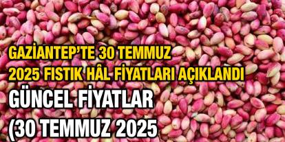 Gaziantep’te 30 Temmuz 2025 Fıstık Hâl Fiyatları Açıklandı