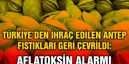 Türkiye’den İhraç Edilen Antep Fıstıkları Geri Çevrildi: Aflatoksin Alarmı
