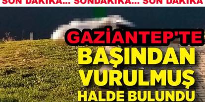 Gaziantep'te Boş Arazide Kanlı İnfaz! Kafasına Sıkılmış Halde Bulundu