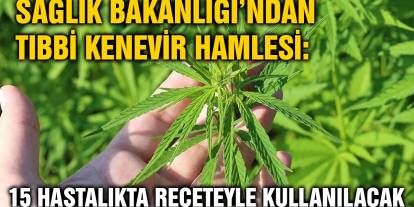 Sağlık Bakanlığı’ndan Tıbbi Kenevir Hamlesi: 15 Hastalıkta Reçeteyle Kullanılacak