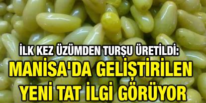 İlk Kez Üzümden Turşu Üretildi: Manisa'da Geliştirilen Yeni Tat İlgi Görüyor