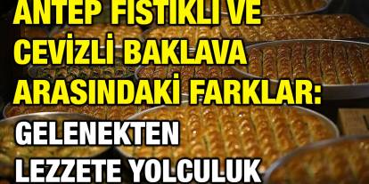 Antep Fıstıklı ve Cevizli Baklava Arasındaki Farklar: Gelenekten Lezzete Yolculuk