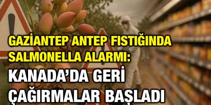 Gaziantep Antep Fıstığında Salmonella Alarmı: Kanada’da Geri Çağırmalar Başladı