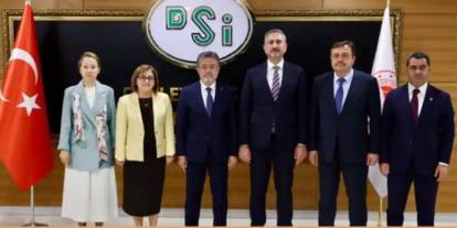 Suya Neşter