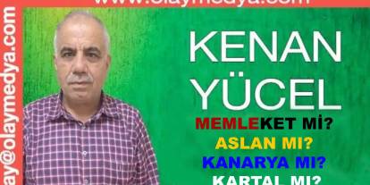 Kenan Yücel Yazıyor: 'Memleket mi...? Aslan mı, Kanarya mı, Kartal mı?'