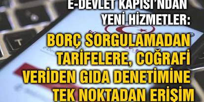 E-Devlet Kapısı’ndan Yeni Hizmetler: Borç Sorgulamadan Tarifelere, Coğrafi Veriden Gıda Denetimine Tek Noktadan Erişim