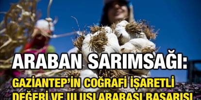 Araban Sarımsağı: Gaziantep’in Coğrafi İşaretli Değeri ve Uluslararası Başarısı