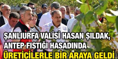 Şanlıurfa Valisi Hasan Şıldak, Antep Fıstığı Hasadında Üreticilerle Bir Araya Geldi