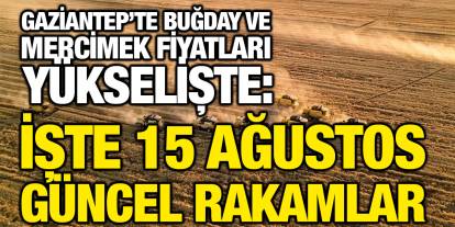 Gaziantep’te Buğday ve Mercimek Fiyatları Yükselişte: İşte 15 Ağustos Güncel Rakamlar