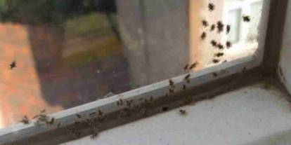 Gaziantep’i Kâbus Sardı! Pencere Açmak İmkânsız Hale Geldi