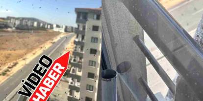 Gaziantep’te Böcek Alarmı! Mahallelerde İsyan Büyüyor