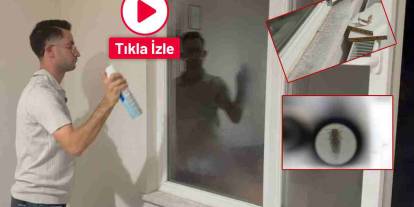 Gaziantep’te Üvez İstilası! Flaş Açıklamalar