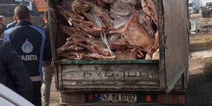 Gaziantep Böylesini Görmedi! İğrenç Görüntüler