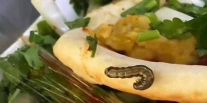 Gaziantep’te Nohut Dürümünden Kurt Çıktı...