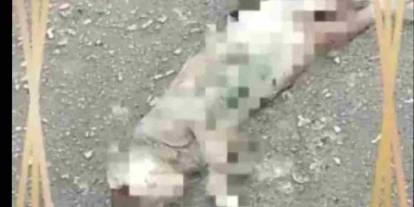 Gaziantep'te İnsanlık Dışı Olay!