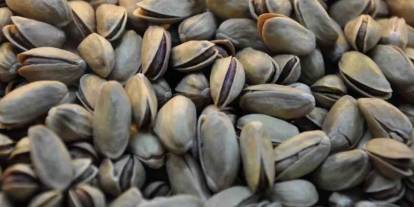 Antep Fıstığında Yeni Dönem! Resmi Gazete’de Kritik Karar