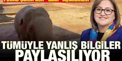 Fatma Şahin’den Fil “Gabi” Açıklaması: İddialara Sert Yanıt
