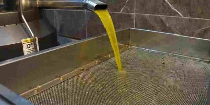 Gaziantep’te Zeytinyağı Fiyatları Uçtu! 18 Litrelik Teneke 8 Bin 500 TL’ye Dayandı