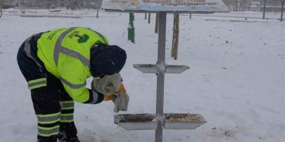 Gaziantep'te Başkan Umut Yılmaz: 'Sokak hayvanlarını unutmadı'