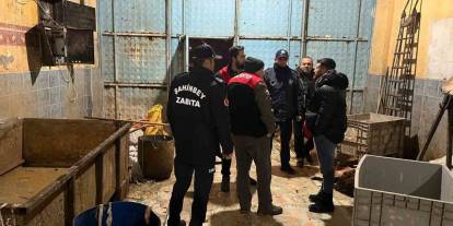 Gaziantep’te O Firmada Mide Bulandıran Manzara! Tam 1 Ton 300 Kilo