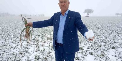 Gaziantep'te Kar yağışı sarımsak üreticisinin yüzünü güldürecek