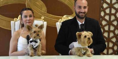 Gaziantep’te nikahın tüm kurallarını değişti! 'Betty' ve 'Barney' Evet Dedi