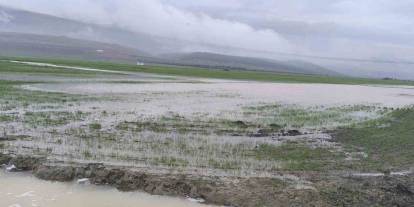 Gaziantep'te Sağanak Vurdu: Tarlalar Göle Döndü