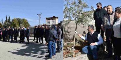 Antep fıstığı ve zeytin üreticilerine budama eğitimi