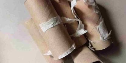 Tuvalet kağıdı rulosunu atan pişman oluyor: Bahçede ve evde işe yarıyor