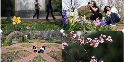 Gaziantep Botanik Bahçesi’nde 2026 Sezonu Açıldı: İşte Yeni Giriş Ücretleri!