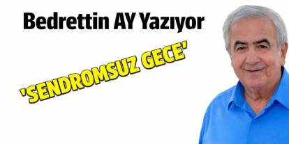 Bedrettin Ay yazıyor: 'Sendromsuz Gece..!'