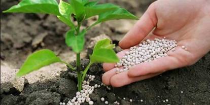Gaziantep’te yasak kalktı: Çiftçiye müjde