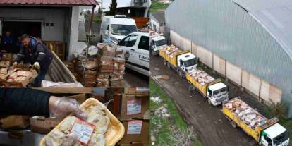 Komşu İl Şanlıurfa’da Kamyonlar Dolusu Bozuk Tavuk Ele Geçirildi