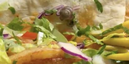 Gaziantep’te Şok İddia: Dürümcü Recep Usta’dan Alınan Dürümün İçinden Salyangoz Çıktı