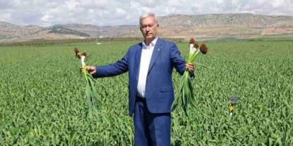 Araban'da Türkiye'ye yetecek kadar sarımsak var