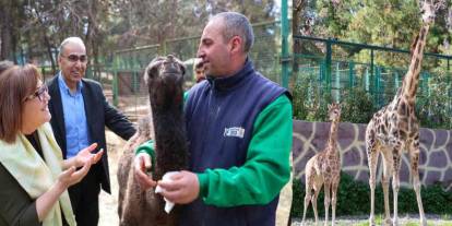 Gaziantep'te "Hayvanlarımızı kebap, lahmacun ve baklava ile besliyoruz"