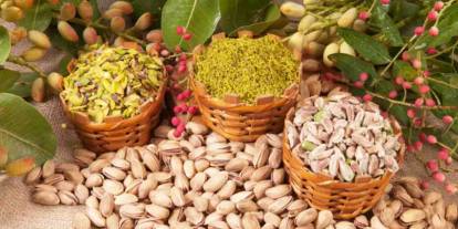 Dünya'da Gaziantep rüzgarı! Antep fıstığı dünya listesinde zirveye oynuyor