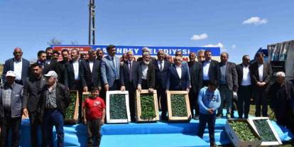 Şahinbeyli çiftçilere sertifikalı fide desteği