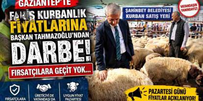 Gaziantep'te Fahiş Kurbanlık Fiyatlarına Darbe! Fırsatçılara Geçit Yok…