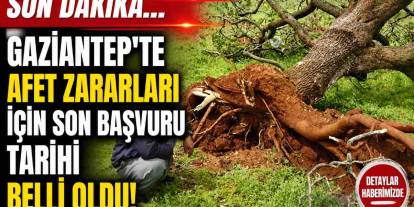 SON DAKİKA... Gaziantep Valiliği’nden Afetzedelere Son Çağrı!