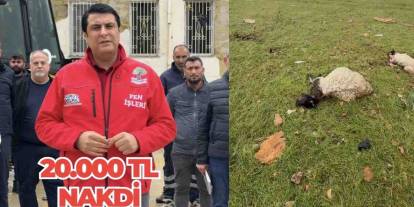 Gaziantep'e Başkan Umut Yılmaz Duyurdu: 20 Bin TL Yardım!