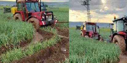 Araban Ovası’nda etkili olan yağışlar yeşil sarımsak hasadını geciktirdi