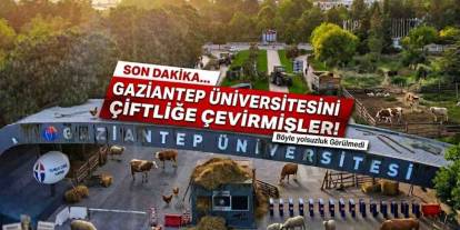 SON DAKİKA | Gaziantep Üniversitesini Çiftliğe Çevirmişler! Böyle Yolsuzluk Görülmedi