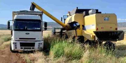 Araban Ovası’nda arpa hasadı yapılmaya başlandı
