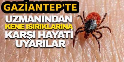 Gaziantep'te uzmanından kene ısırıklarına karşı hayati uyarılar