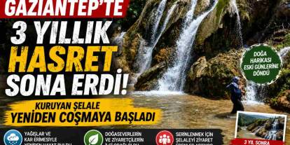 Gaziantep'te 3 Yıllık Hasret Sona Erdi! Kuruyan Şelale Yeniden Coşmaya Başladı