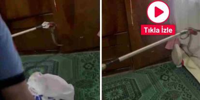 Evde Bir Anda Karşılarına Çıktı! Gaziantep'te Yılan Paniği Kameralara Yansıdı