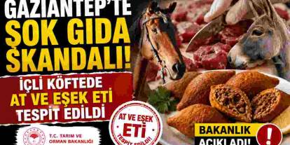 Gaziantep'te Şok Gıda Skandalı! İçli Köftede At ve Eşek Eti Tespit Edildi