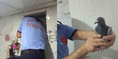 Havalandırma boşluğunda mahsur kalan güvercini itfaiye kurtardı