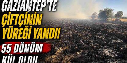 Gaziantep'te Çiftçinin Yüreği Yandı! 55 Dönüm Kül Oldu...